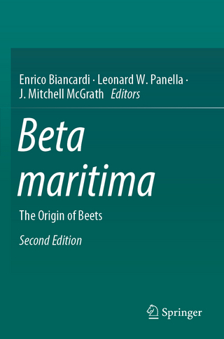 Beta maritima