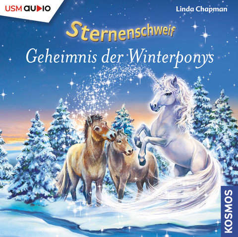 Sternenschweif (Folge 55): Geheimnis der Winterponys - Linda Chapman