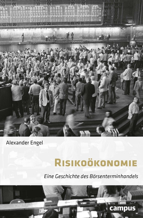 Risiko&ouml;konomie - Alexander Engel
