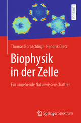 Biophysik in der Zelle - Thomas Bornschl&ouml;gl, Hendrik Dietz