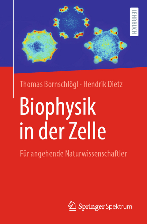 Biophysik in der Zelle - Thomas Bornschl&ouml;gl, Hendrik Dietz