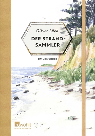 Der Strandsammler