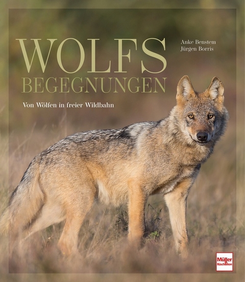 Wolfsbegegnungen - Anke Benstem, J&uuml;rgen Borris