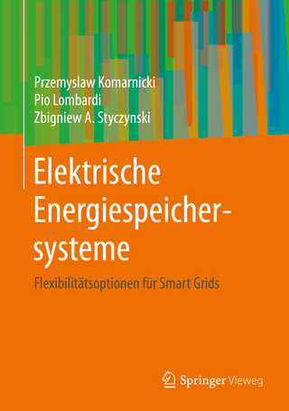 Elektrische Energiespeichersysteme