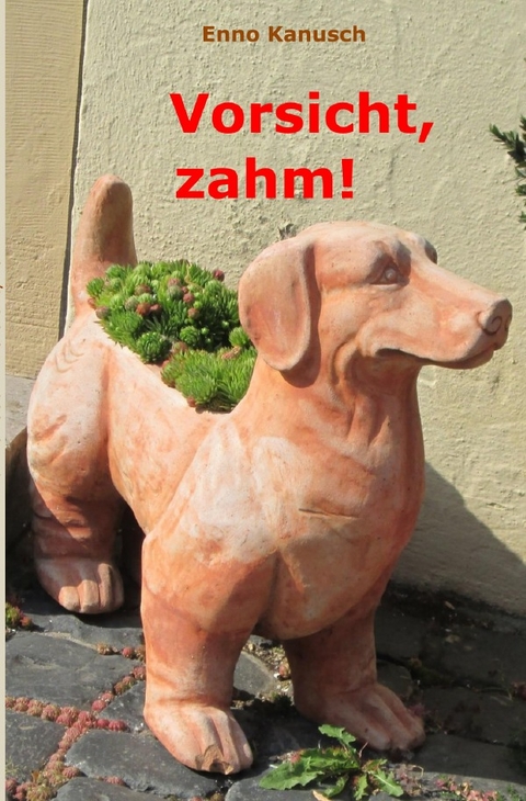 Vorsicht, zahm! - Enno Kanusch