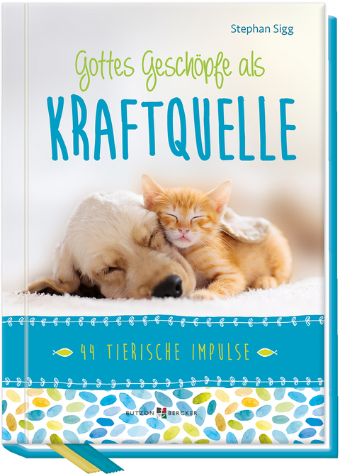 Gottes Geschöpfe als Kraftquelle - Stephan Sigg