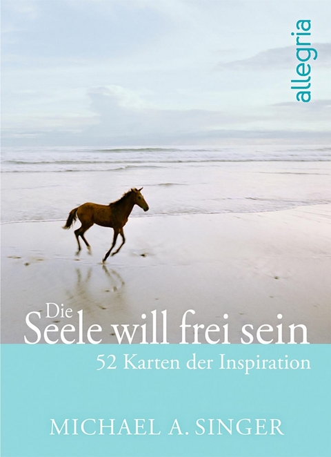 Die Seele will frei sein - Michael A. Singer