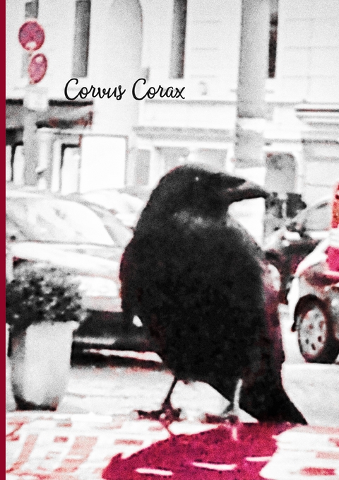 Corvus Corax - Torsten Radtke