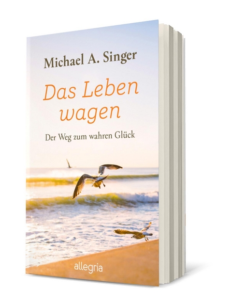 Das Leben wagen - Michael A. Singer