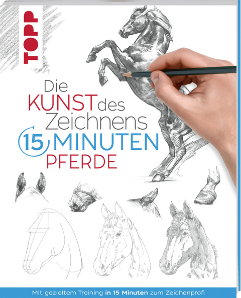 Die Kunst des Zeichnens 15 Minuten - Pferde