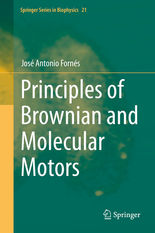 Principles of Brownian and Molecular Motors