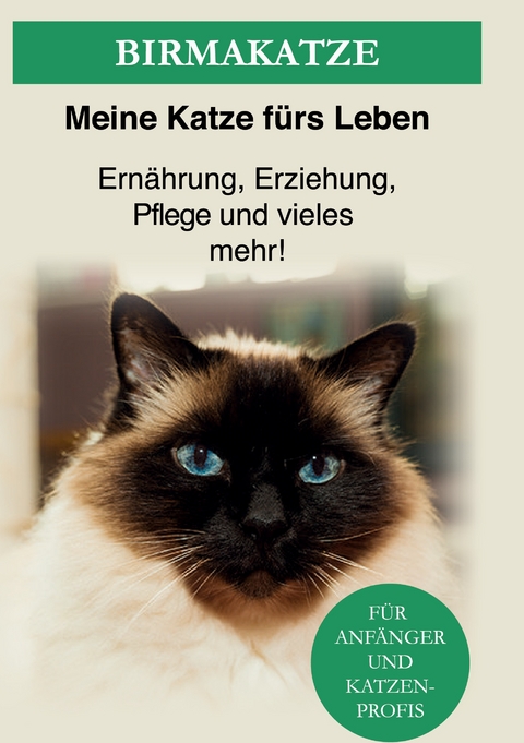 Birma Katze - Meine Katze f&uuml;rs Leben Ratgeber