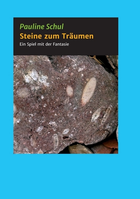 Steine zum Tr&auml;umen - Pauline Schul