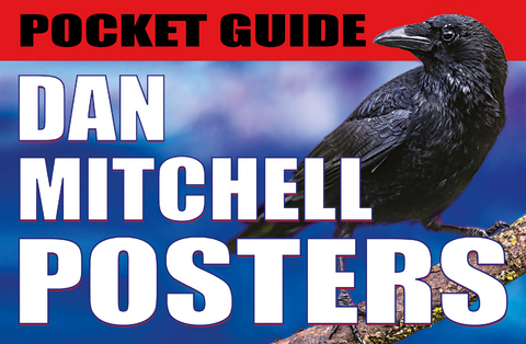 Pocket Guide: Dan Mitchell Posters - Dan Mitchell