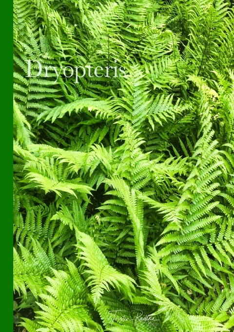 Plant Spirits / Dryopteris - Torsten Radtke