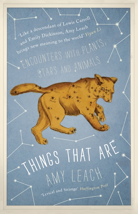 Things That Are - Amy Leach