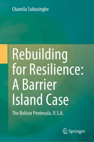 Rebuilding for Resilience: A Barrier Island Case