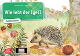 Wie lebt der Igel? Kamishibai Bildkartenset. - Katharina St&ouml;ckl-Bauer