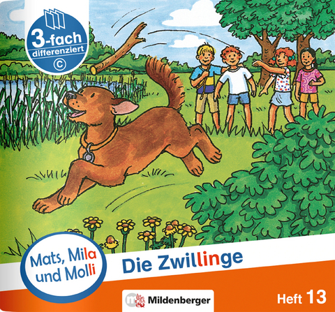 Mats, Mila und Molli &ndash; Heft 13: Die Zwillinge &ndash; C - Axel Wolber, Gabriele Heinisch