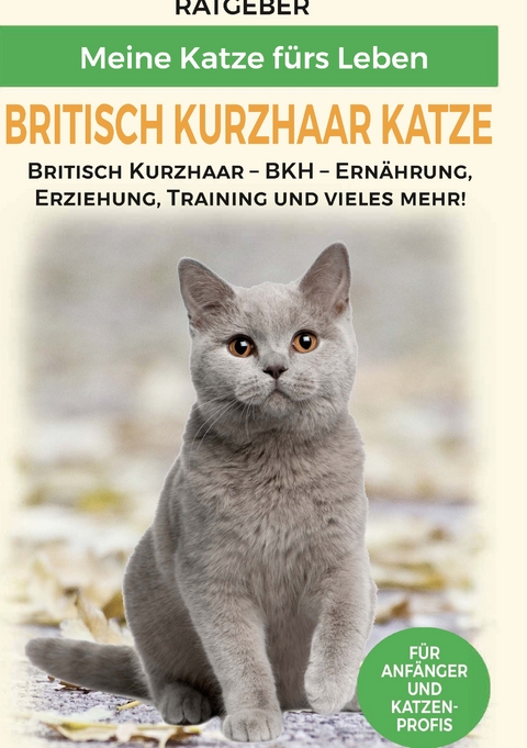 Britisch Kurzhaar Katze - Meine Katze f&uuml;rs Leben Ratgeber