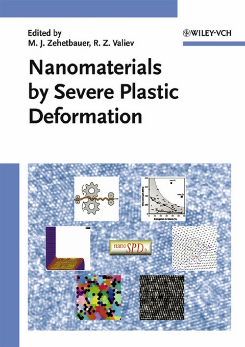 Nanomaterials by Severe Plastic Deformation - 