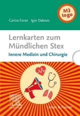 Lernkarten zum M&uuml;ndlichen Stex - Igor Dakovic, Carina Exner