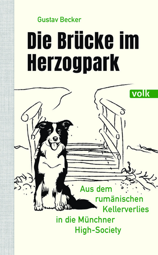 Die Brücke im Herzogpark