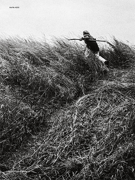 Hof Nr. 4233 - Tomas W&uuml;thrich