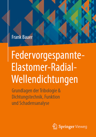 Federvorgespannte-Elastomer-Radial-Wellendichtungen