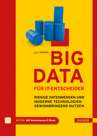 Big Data für IT-Entscheider