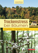 Trockenstress bei B&auml;umen - 