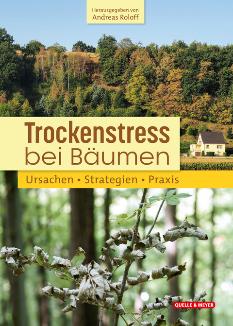 Trockenstress bei B&auml;umen - 