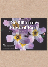 Edition Tirta: Kartenset – Die Blüten des Edward Bach - Maier, Helmut