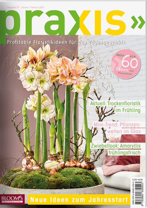 PRAXIS Nr. 97 -  Team PRAXIS