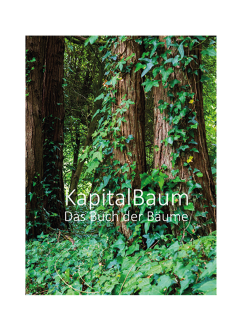 Kapital Baum - Kronberg Ulrich