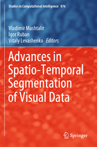 Advances in Spatio-Temporal Segmentation of Visual Data