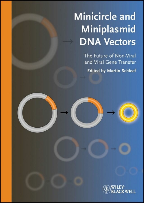 Minicircle and Miniplasmid DNA Vectors - 