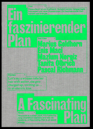 Marius Goldhorn, Enis Maci, Pascal Richmann: Ein faszinierender Plan