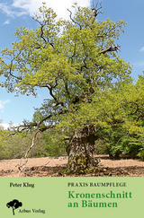 Praxis Baumpflege - Kronenschnitt an B&auml;umen - Peter Klug