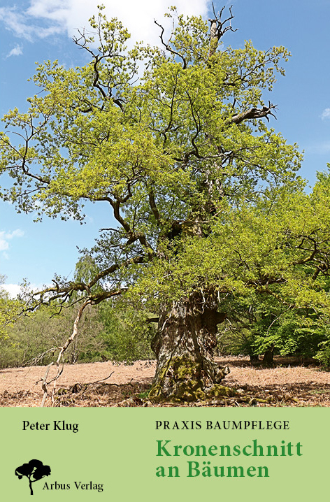 Praxis Baumpflege - Kronenschnitt an B&auml;umen - Peter Klug
