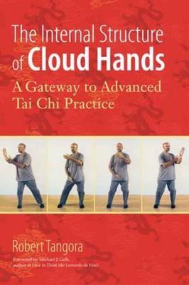 Internal Structure of Cloud Hands -  Robert Tangora