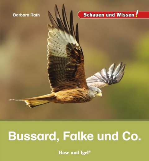 Bussard, Falke und Co. - Barbara Rath