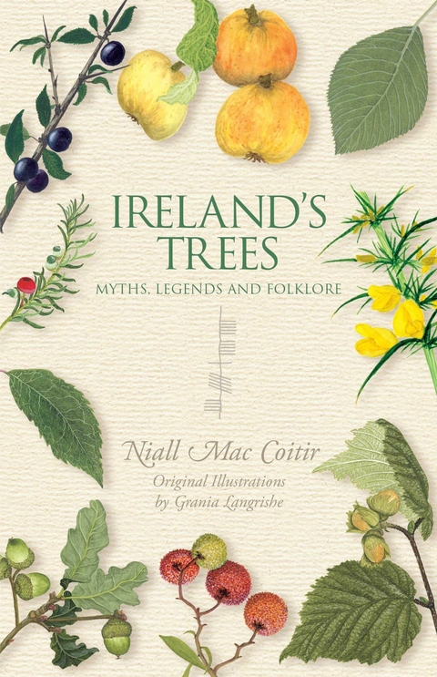 Ireland's Trees - Myths, Legends & Folklore -  Niall Mac Coitir