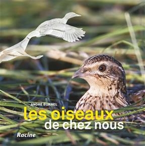 Les oiseaux de chez nous
