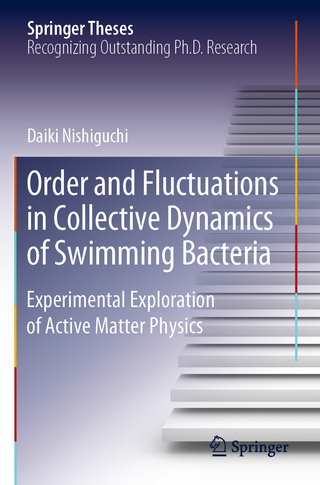Order and Fluctuations in Collective Dynamics of Swimming Bacteria