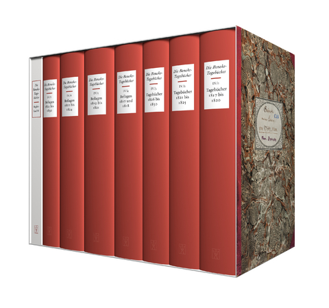 Die Tagebücher IV (1817-1830) - Ferdinand Beneke