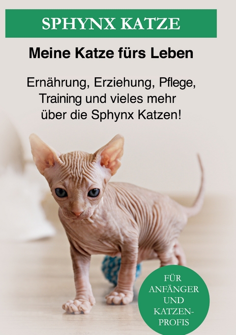 Sphynx Katze - 