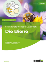 Mein Erste-Klasse-Lapbook: Die Biene - Petra M&ouml;nning