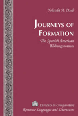 Journeys of Formation : The Spanish American Bildungsroman