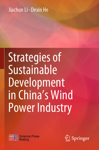 Strategies of Sustainable Development in China’s Wind Power Industry